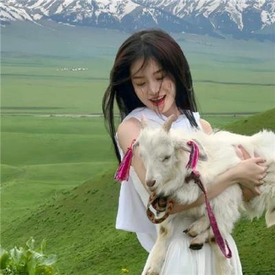 我亲爱的怪物伙伴